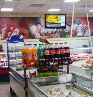 Наступление цифрового формата на рынок Indoor-рекламы Челябинска