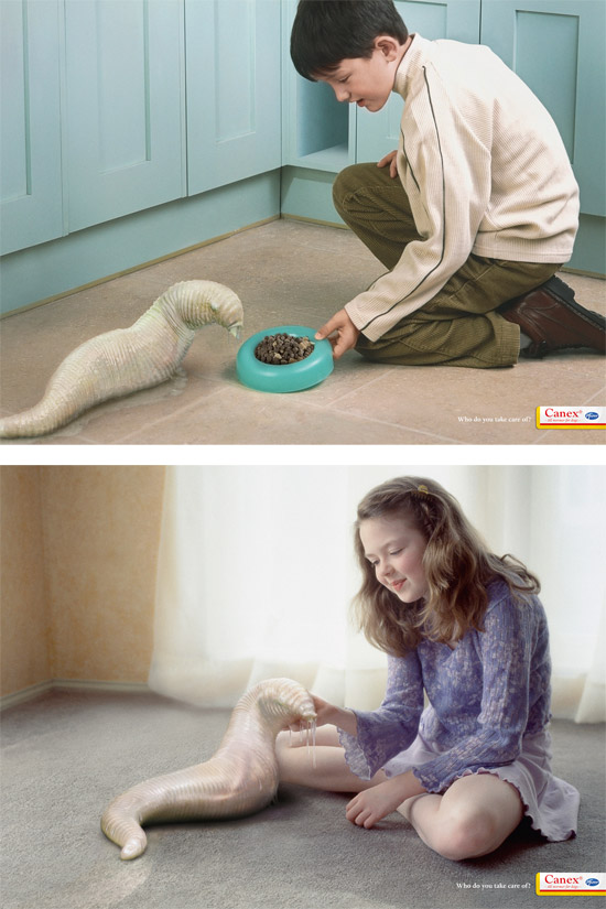 Шокирующая реклама корма для собак. Не корми паразитов!