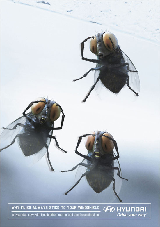 Hyundai: почему мухи вечно липнут на лобовое стекло?